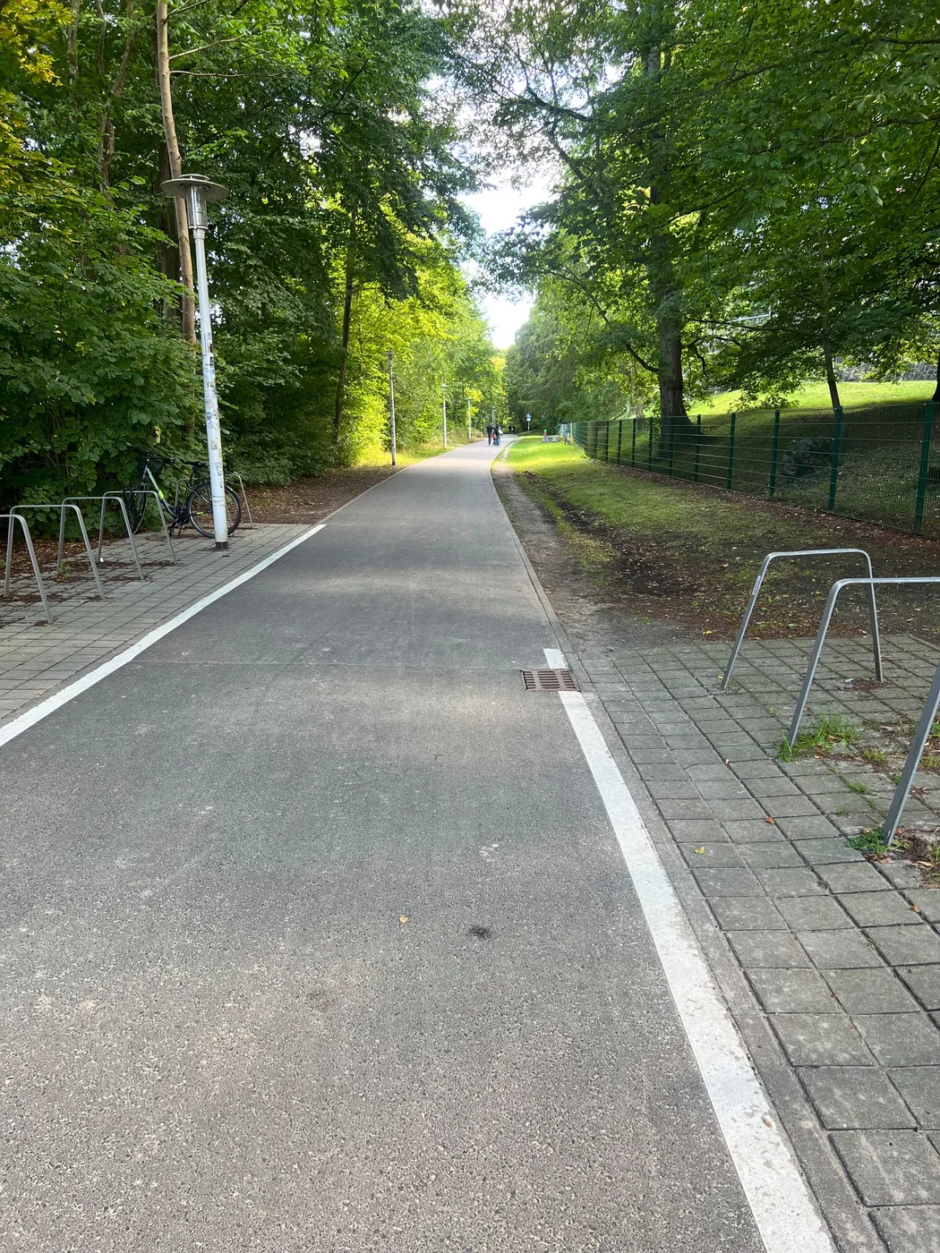 Radweg nahe der Ferienwohnung in Stralsund am Strelasund